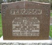 Ferguson M2 R10 P21 LA,B,C,D 